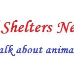 animal-shelters-near-me-fort-image