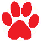 Animal Shelters Near Me
