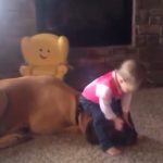 I am dancing on my dog’s hear
