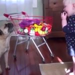 love-to-teach-my-dog