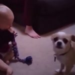 playing-with-my-dog