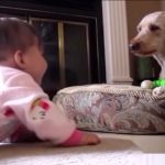Speech with dog