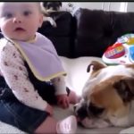 speech with my dog