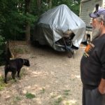dog-saves-newborn-baby