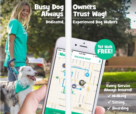 Dog walking app