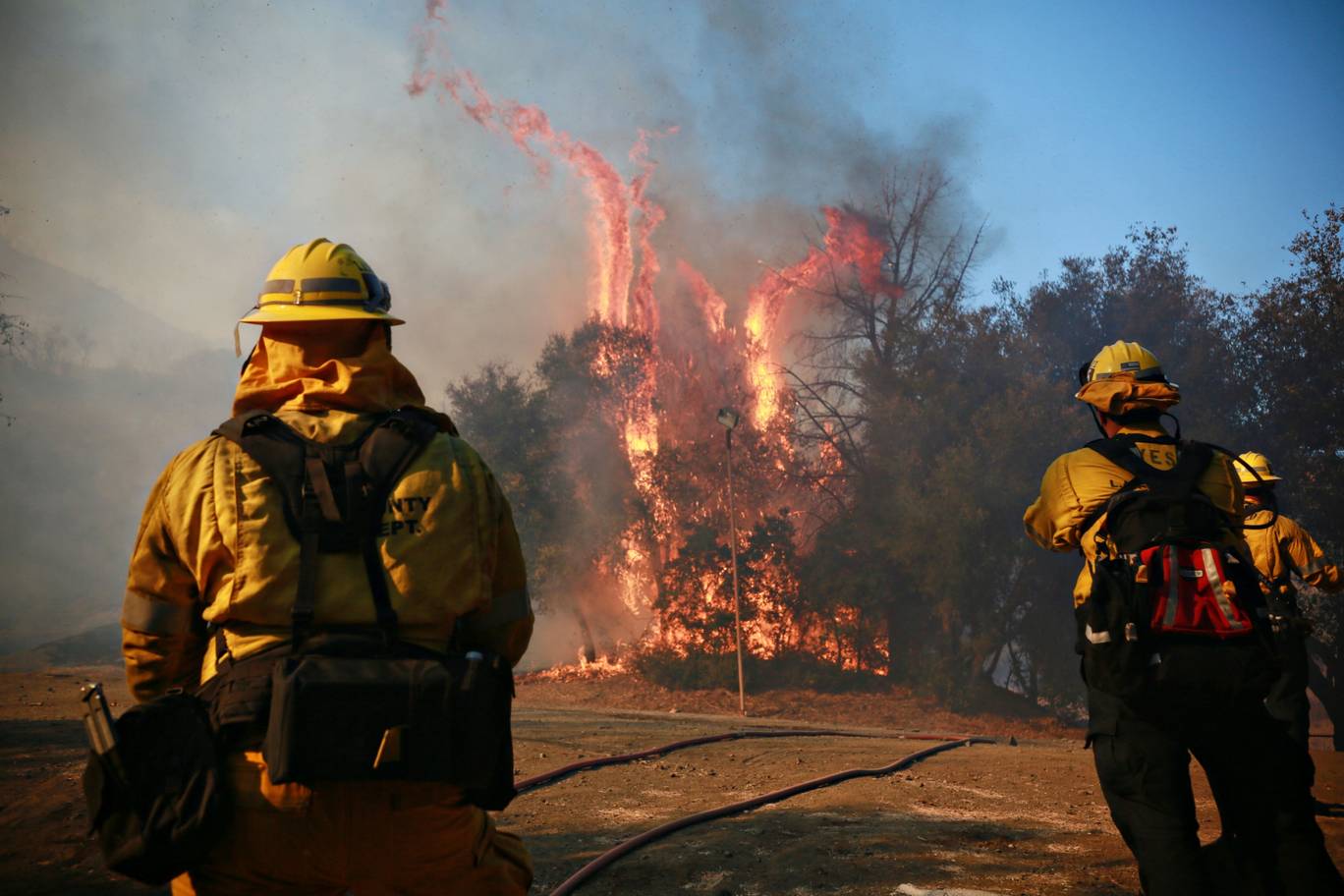 California Firefighter