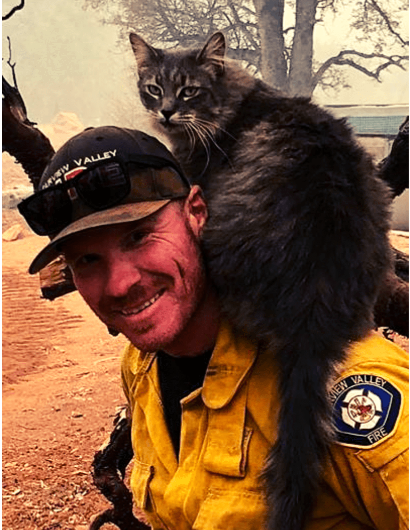 California Firefighter