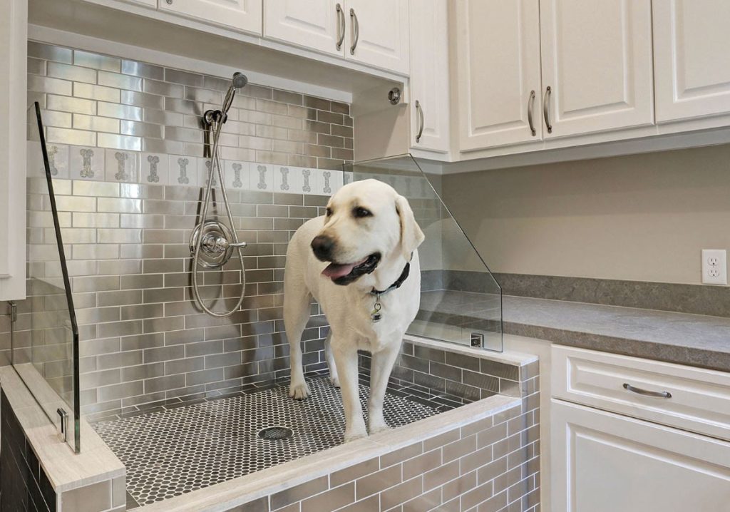 More People Are Installing Dog Showers In There Homes ...