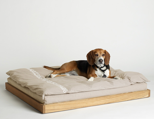 dog bed online