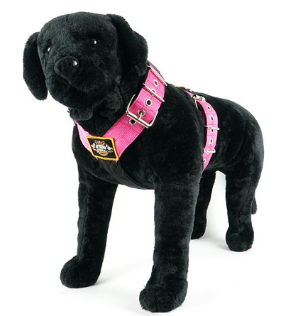 Dog Sport harness