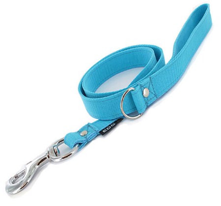 EDG dog lead turquoise