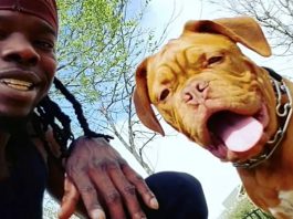 Veteran's Service Dog Stolen During Burglary - He's Begging People to Help Him Find Her