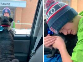 14-Year-Old Boy Cries When Missing Dog Finally Returns Home -