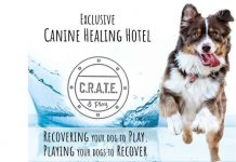 choose C.R.A.T.E. & Play
