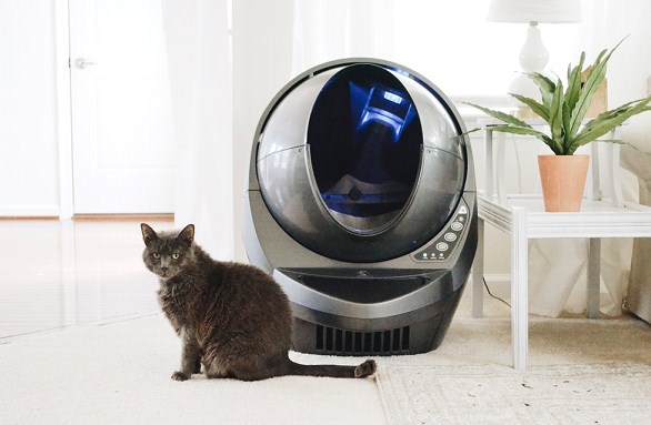 Best Litter Box Tips Every Cat Owner