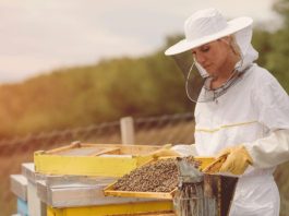 Beekeeping