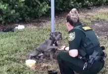Tied to a Pole and Terrified, Dog Reaches Out His Paw to the Cop Who Came to Save Him