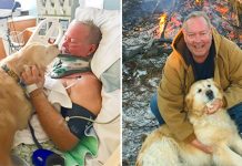Golden Retriever Saves Owner Life After He Slipped On Ice And Bro.ke His Ne.ck