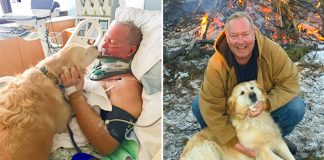 Golden Retriever Saves Owner Life After He Slipped On Ice And Bro.ke His Ne.ck