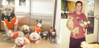 Man Devotes His Life To Adopting Old Dogs Who Can’t Find Forever Homes