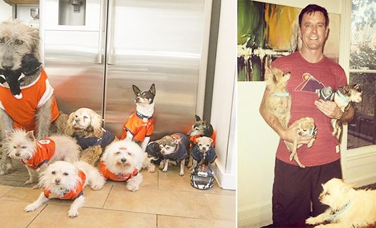 Man Devotes His Life To Adopting Old Dogs Who Can’t Find Forever Homes