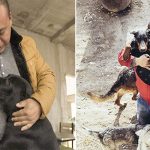 Chinese Millionaire Spends All His Fortune Saving Stray Dogs From The Slaughterhouse After His Beloved Pooch Disappeared 