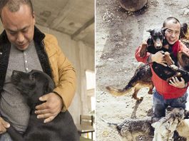 Chinese Millionaire Spends All His Fortune Saving Stray Dogs From The Slaughterhouse After His Beloved Pooch Disappeared 