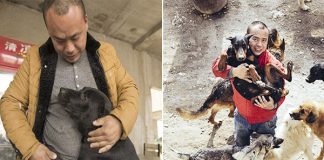 Chinese Millionaire Spends All His Fortune Saving Stray Dogs From The Slaughterhouse After His Beloved Pooch Disappeared 