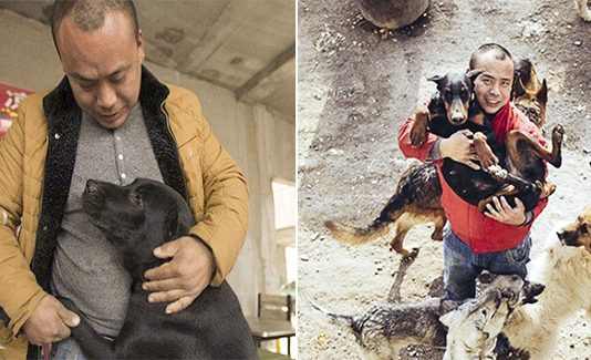 Chinese Millionaire Spends All His Fortune Saving Stray Dogs From The Slaughterhouse After His Beloved Pooch Disappeared 