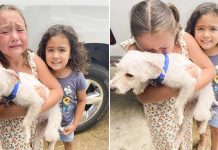 Little Girl Can’t Stop Crying Tears Of Joy When Her Lost Dog Is Finally Found