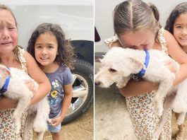 Little Girl Can’t Stop Crying Tears Of Joy When Her Lost Dog Is Finally Found