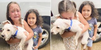 Little Girl Can’t Stop Crying Tears Of Joy When Her Lost Dog Is Finally Found