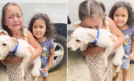 Little Girl Can’t Stop Crying Tears Of Joy When Her Lost Dog Is Finally Found