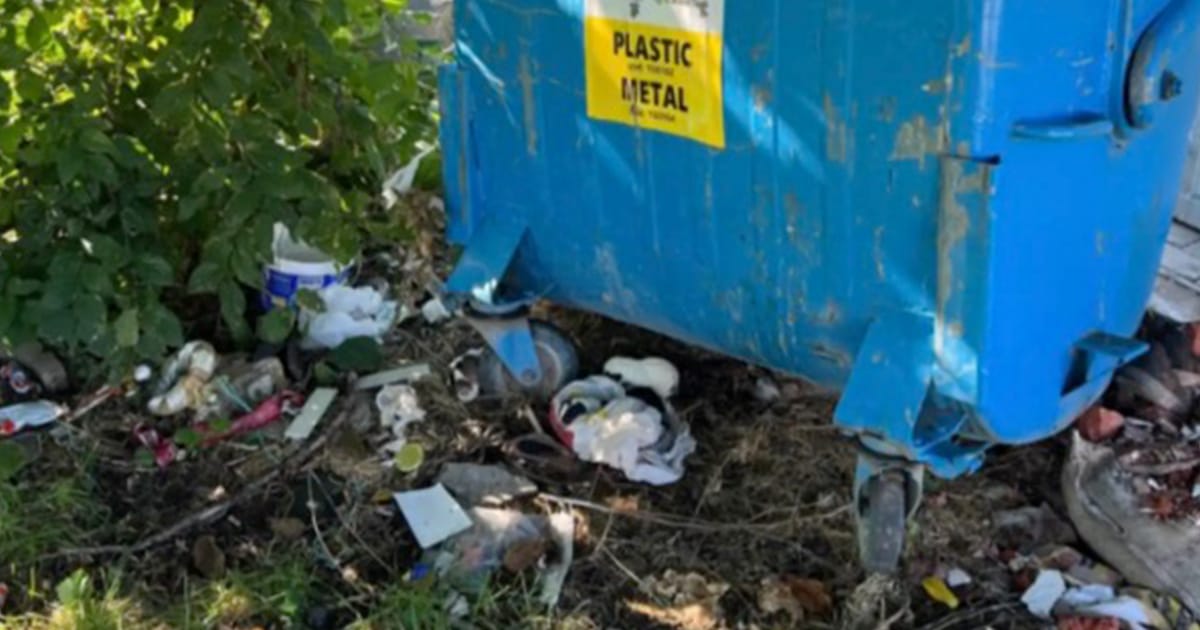 Woman spots moving plastic bag — finds shivering baby animals inside