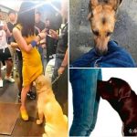 Natural Instinct or Something More? –