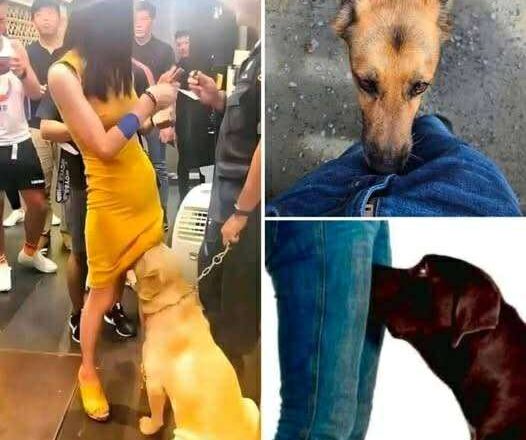 Natural Instinct or Something More? –