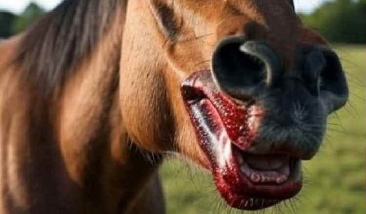 When the Horse Turned Deadly –