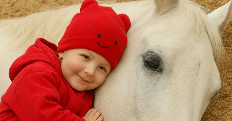 My 2-year-old girl loved playing with the neighbor’s horse, but then we found out something shocking –