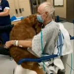 He kept asking for ‘Murphy…’ –