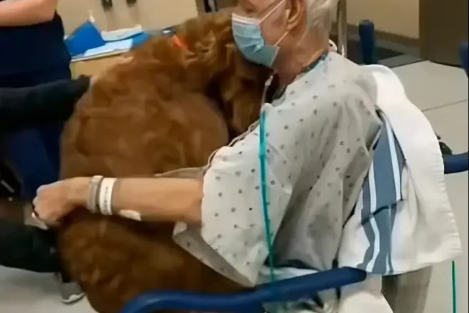 He kept asking for ‘Murphy…’ –