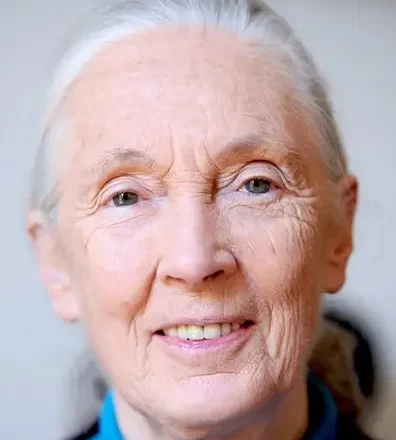 Legendary primatologist Jane Goodall’s cause of death revealed –